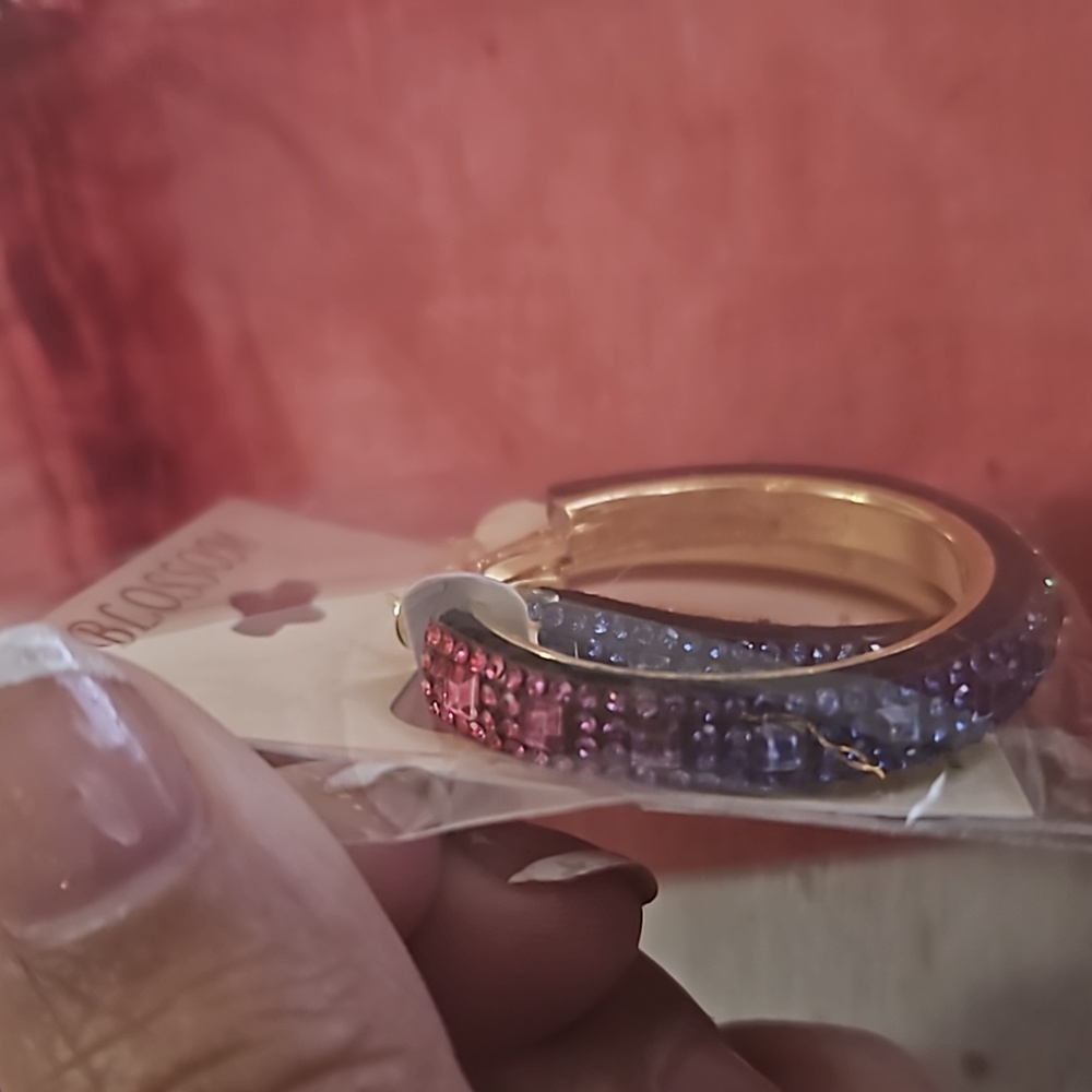 Rainbow Hoop Earrings